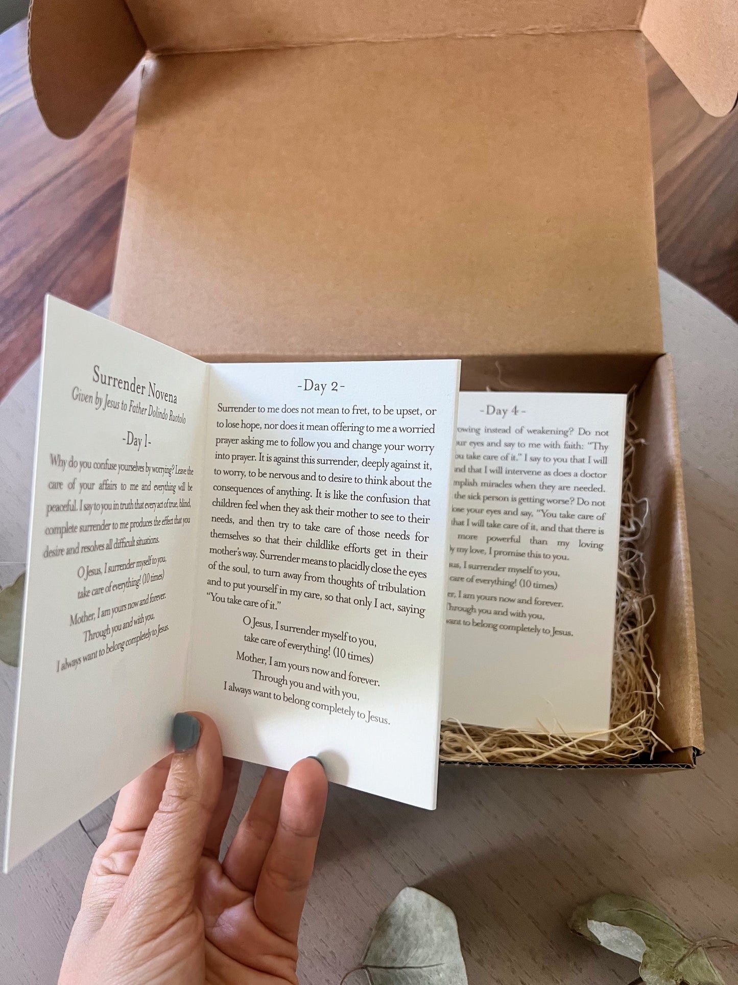 Surrender Box
