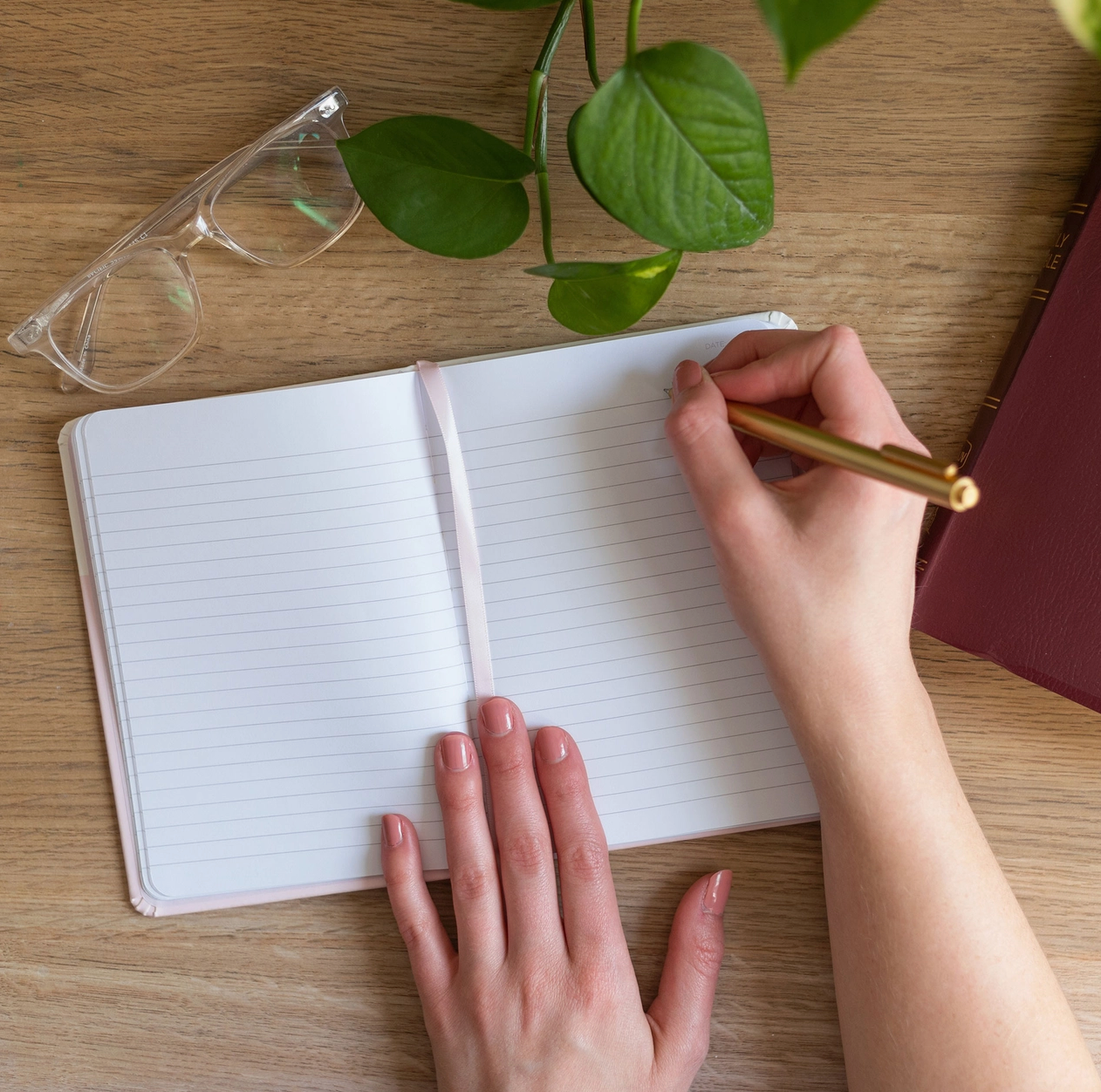 Seek Lined Journal